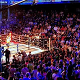 拳击网手机训练排名与boxrec中文网接通